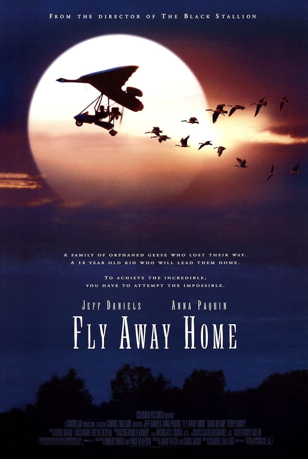 FLY AWAY HOME (1996)